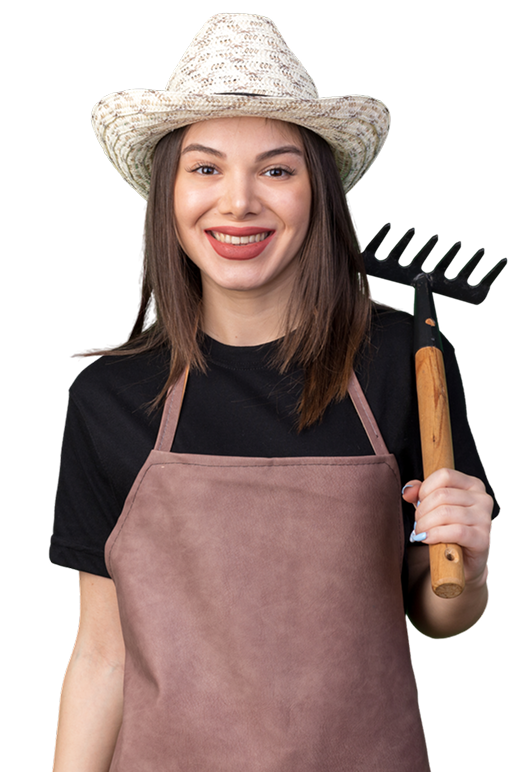 грядки из дпк размеры